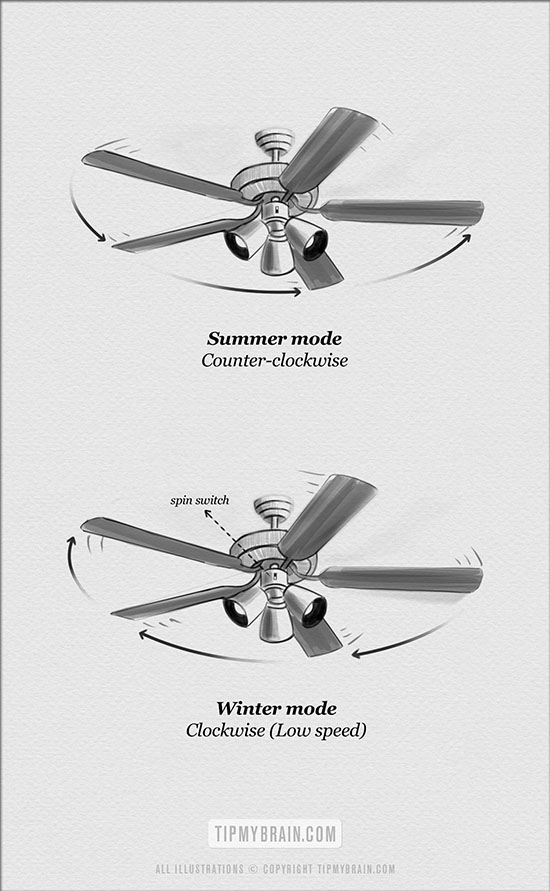 ceiling fan rotation